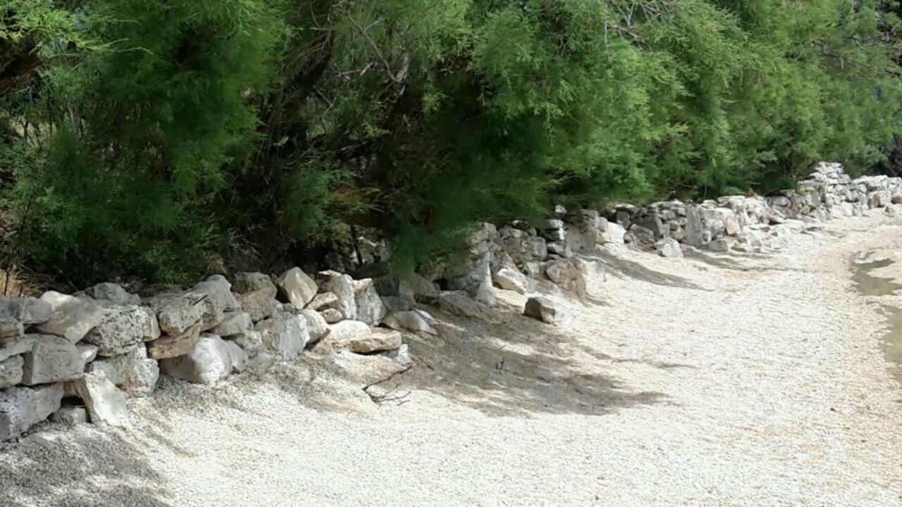 Apartmani Neva, Pridraga Esterno foto